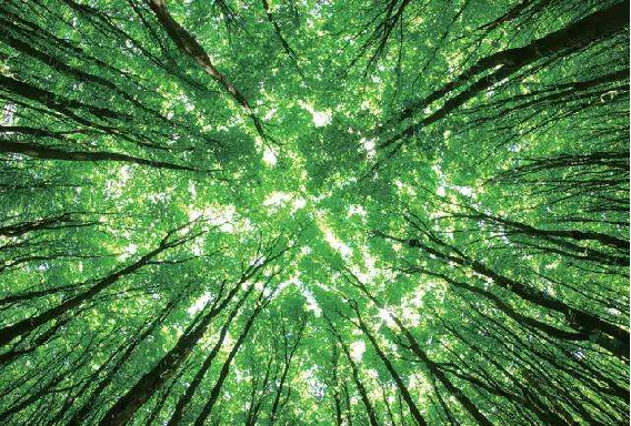 ��ҵ�����